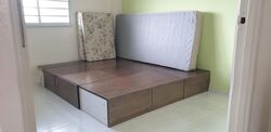 Blk 264 Bishan Street 24 (Bishan), HDB 4 Rooms #499550621